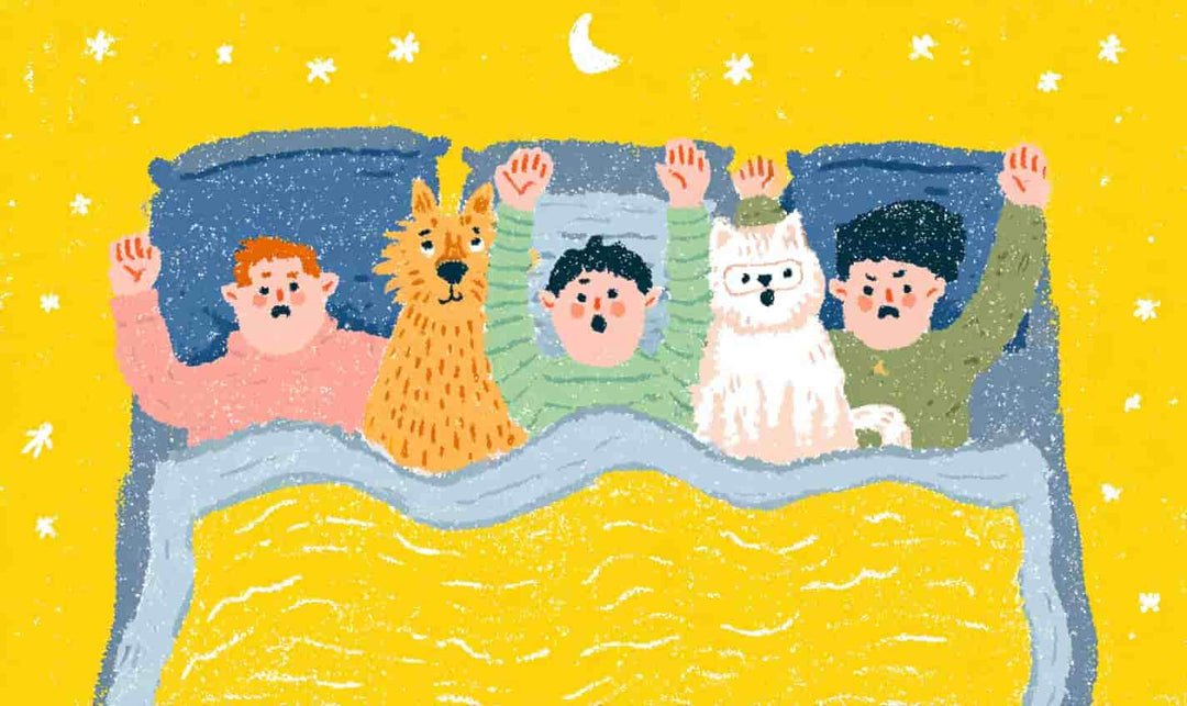 The Excitement of Staying Up Past Bedtime