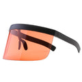 Oversize Shield Visor